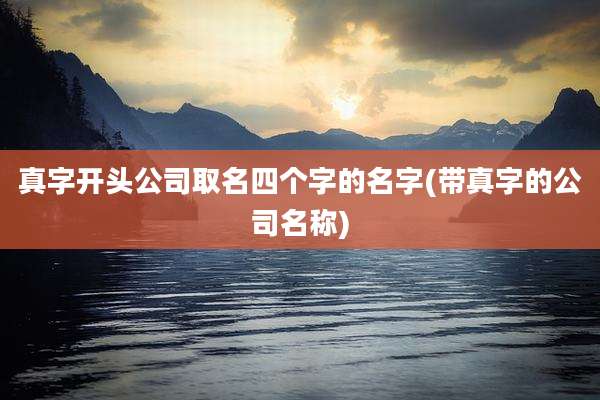 真字开头公司取名四个字的名字(带真字的公司名称)