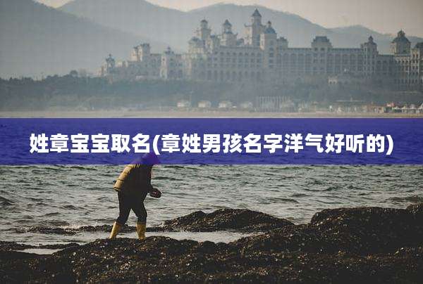 姓章宝宝取名(章姓男孩名字洋气好听的)
