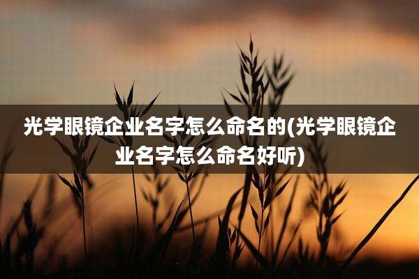 光学眼镜企业名字怎么命名的(光学眼镜企业名字怎么命名好听)
