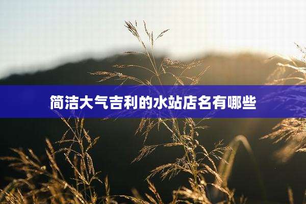 简洁大气吉利的水站店名有哪些