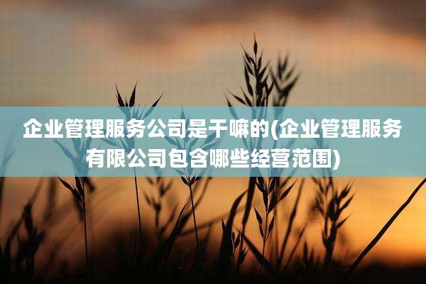 企业管理服务公司是干嘛的(企业管理服务有限公司包含哪些经营范围)