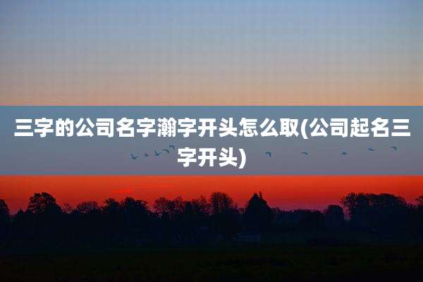 三字的公司名字瀚字开头怎么取(公司起名三字开头)