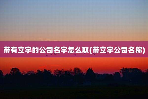 带有立字的公司名字怎么取(带立字公司名称)