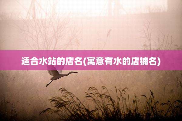 适合水站的店名(寓意有水的店铺名)