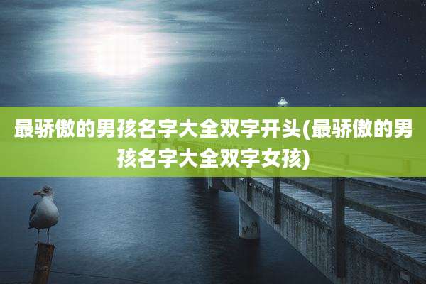 最骄傲的男孩名字大全双字开头(最骄傲的男孩名字大全双字女孩)