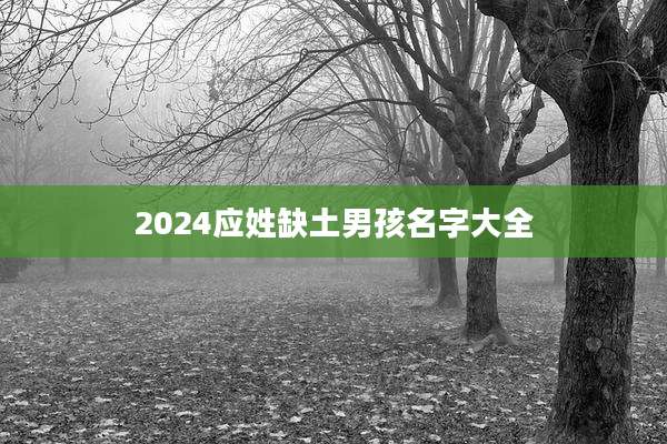 2024应姓缺土男孩名字大全