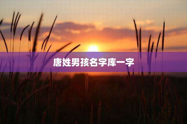 唐姓男孩名字库一字
