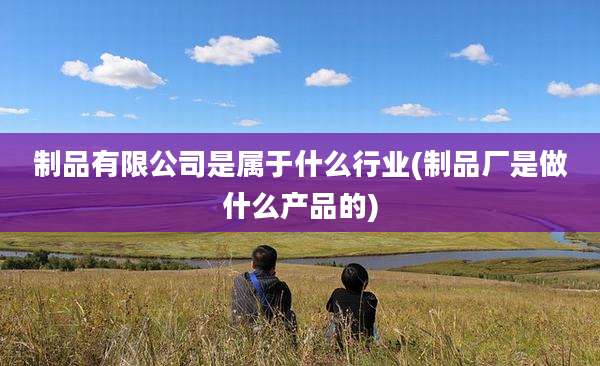 制品有限公司是属于什么行业(制品厂是做什么产品的)