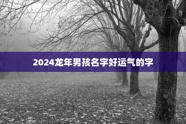2024龙年男孩名字好运气的字