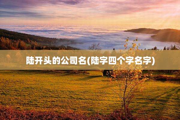 陆开头的公司名(陆字四个字名字)