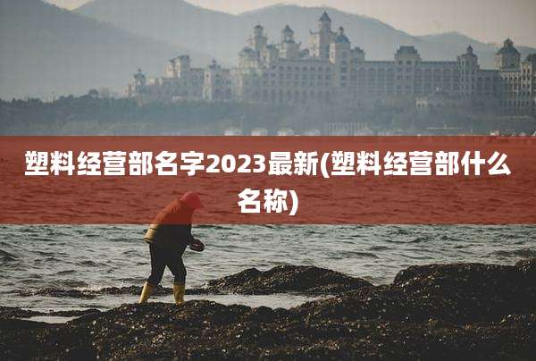 塑料经营部名字2023最新(塑料经营部什么名称)