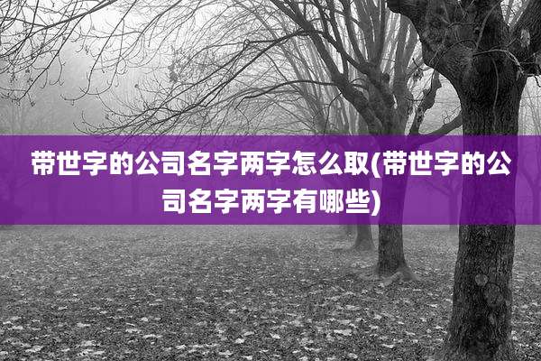 带世字的公司名字两字怎么取(带世字的公司名字两字有哪些)