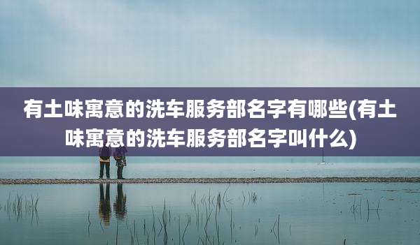 有土味寓意的洗车服务部名字有哪些(有土味寓意的洗车服务部名字叫什么)