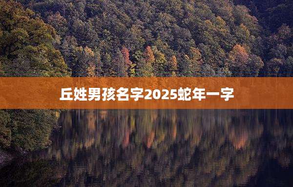 丘姓男孩名字2025蛇年一字