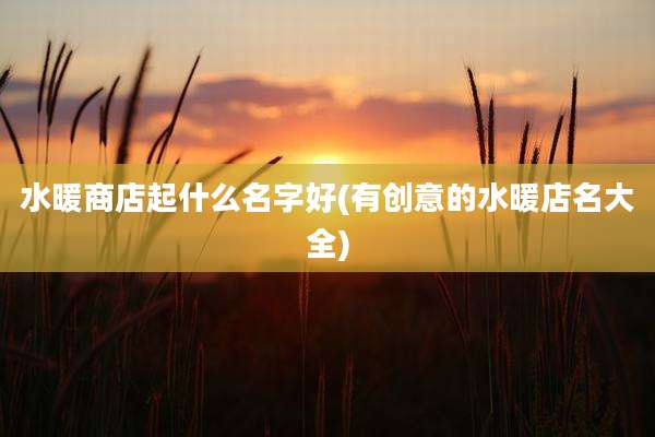 水暖商店起什么名字好(有创意的水暖店名大全)