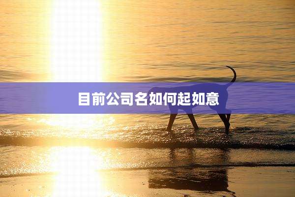 目前公司名如何起如意
