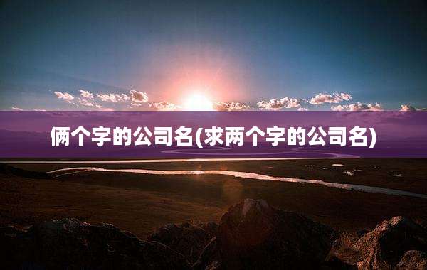 俩个字的公司名(求两个字的公司名)