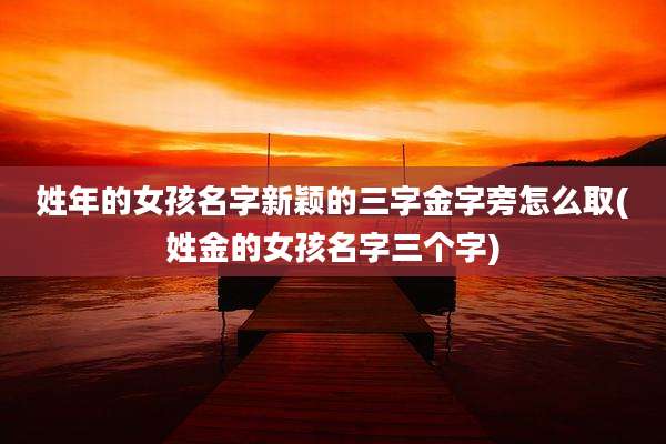 姓年的女孩名字新颖的三字金字旁怎么取(姓金的女孩名字三个字)