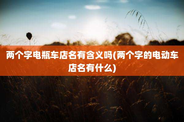 两个字电瓶车店名有含义吗(两个字的电动车店名有什么)