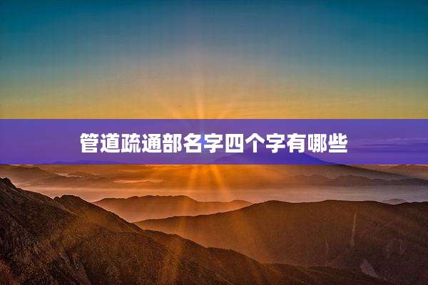 管道疏通部名字四个字有哪些