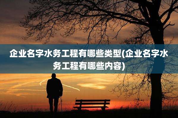 企业名字水务工程有哪些类型(企业名字水务工程有哪些内容)