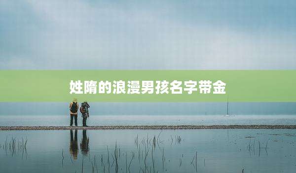 姓隋的浪漫男孩名字带金