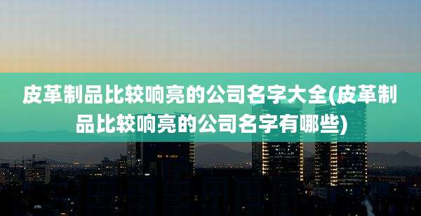 皮革制品比较响亮的公司名字大全(皮革制品比较响亮的公司名字有哪些)