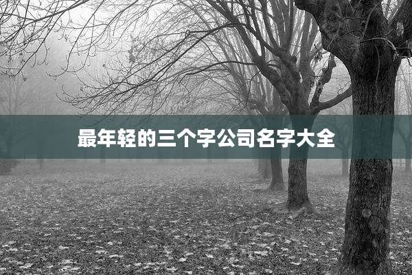最年轻的三个字公司名字大全