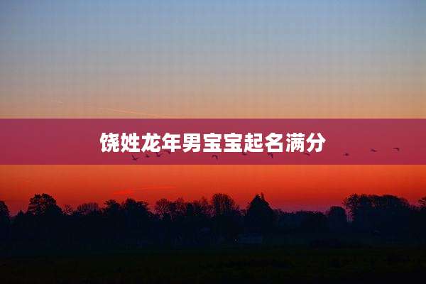 饶姓龙年男宝宝起名满分
