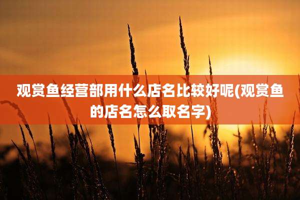 观赏鱼经营部用什么店名比较好呢(观赏鱼的店名怎么取名字)
