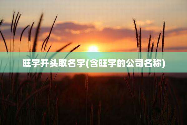 旺字开头取名字(含旺字的公司名称)