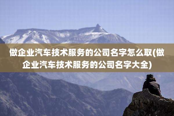 做企业汽车技术服务的公司名字怎么取(做企业汽车技术服务的公司名字大全)