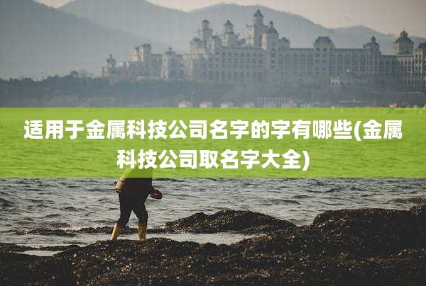 适用于金属科技公司名字的字有哪些(金属科技公司取名字大全)