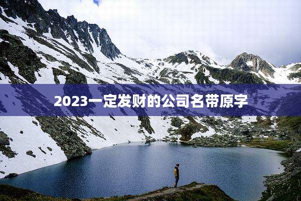 2023一定发财的公司名带原字