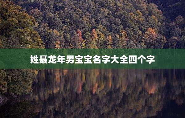 姓聂龙年男宝宝名字大全四个字