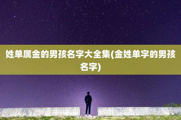 姓单属金的男孩名字大全集(金姓单字的男孩名字)