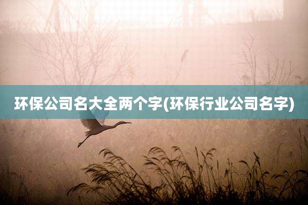 环保公司名大全两个字(环保行业公司名字)