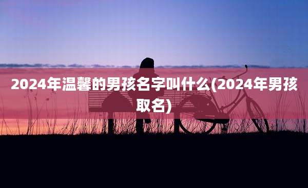 2024年温馨的男孩名字叫什么(2024年男孩取名)