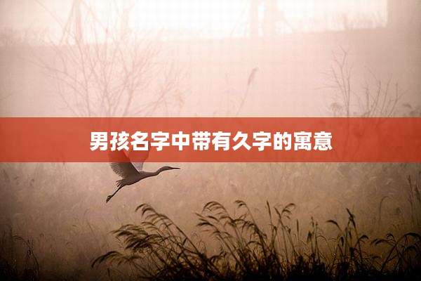 男孩名字中带有久字的寓意