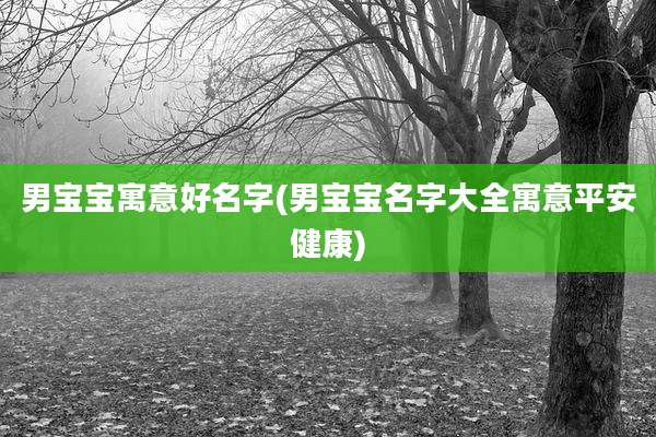 男宝宝寓意好名字(男宝宝名字大全寓意平安健康)