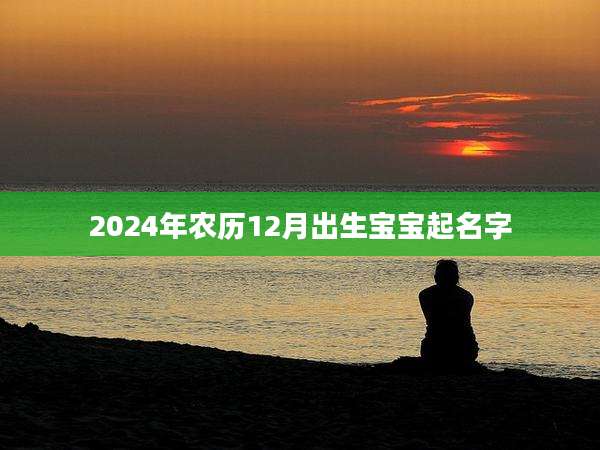 2024年农历12月出生宝宝起名字