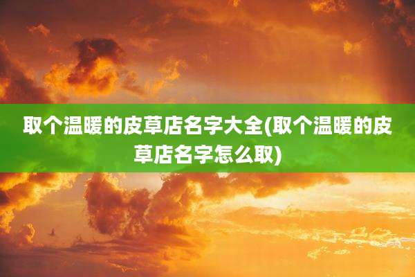 取个温暖的皮草店名字大全(取个温暖的皮草店名字怎么取)