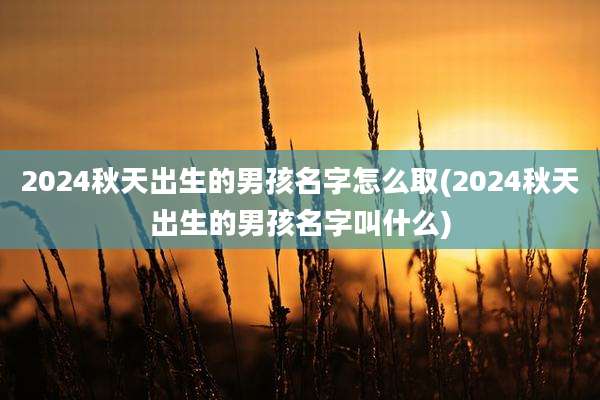 2024秋天出生的男孩名字怎么取(2024秋天出生的男孩名字叫什么)