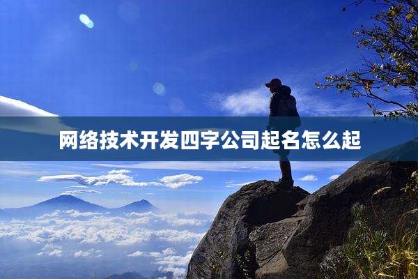 网络技术开发四字公司起名怎么起