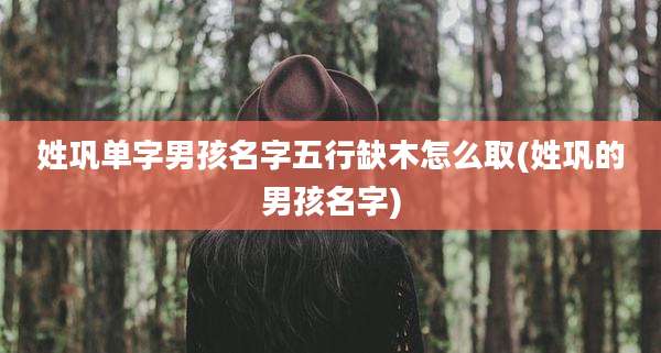 姓巩单字男孩名字五行缺木怎么取(姓巩的男孩名字)