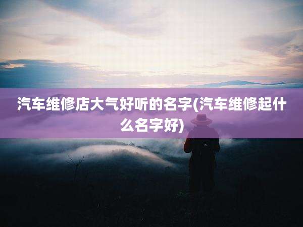 汽车维修店大气好听的名字(汽车维修起什么名字好)