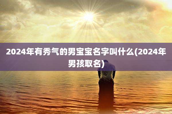 2024年有秀气的男宝宝名字叫什么(2024年男孩取名)