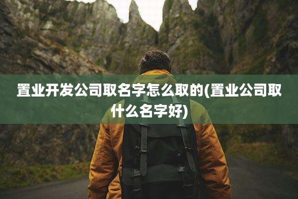 置业开发公司取名字怎么取的(置业公司取什么名字好)