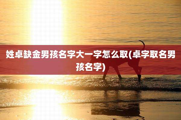姓卓缺金男孩名字大一字怎么取(卓字取名男孩名字)