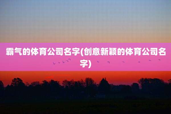 霸气的体育公司名字(创意新颖的体育公司名字)